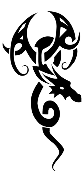 Celtic/tribal dragon design.